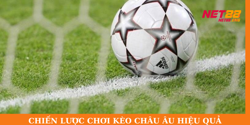 Chiến lược khi chơi kèo 1x2 tại thương hiệu NET88