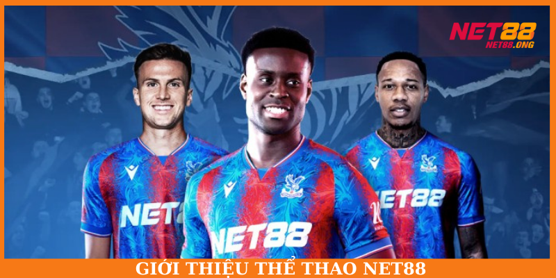Hạng mục thể thao tại nền tảng hoạt động từ năm 2020
