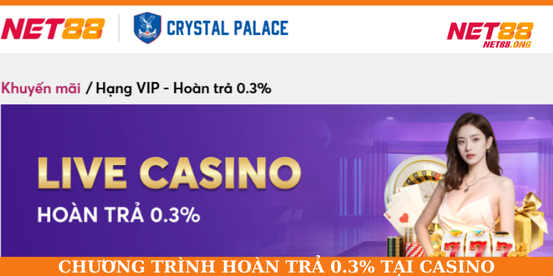 Tham gia Casino NET88 để nhận tiền hoàn lên đến 0.3%