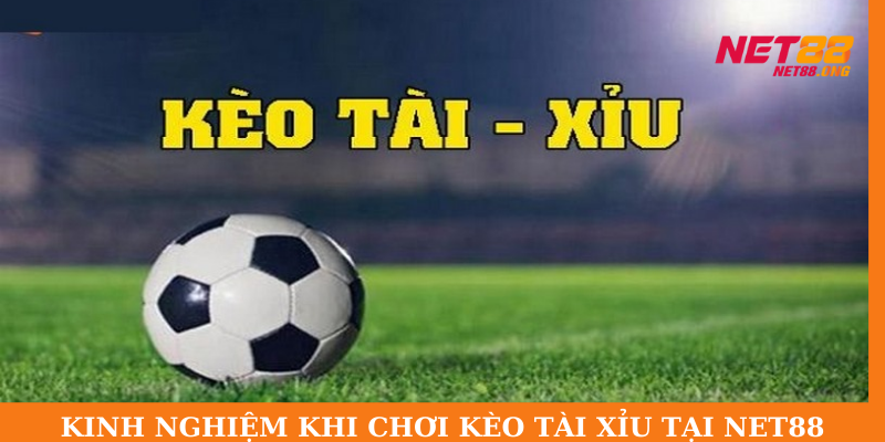 Những kinh nghiệm cần thiết khi tham đặt kèo tài xỉu tại NET88